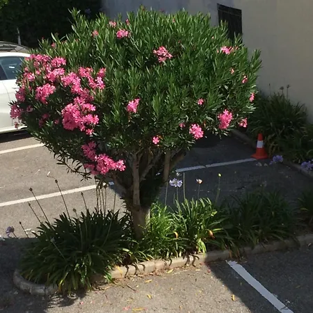 アパート Eden - 300m De La Mer , Parking Privatif Inclus
