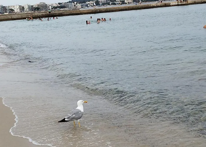 Eden - 300m De La Mer , Parking Privatif Inclus Διαμέρισμα *